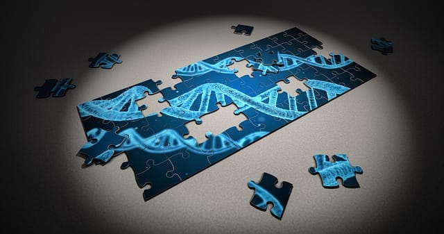 DNA puzzle pieces representing genetics and addiction